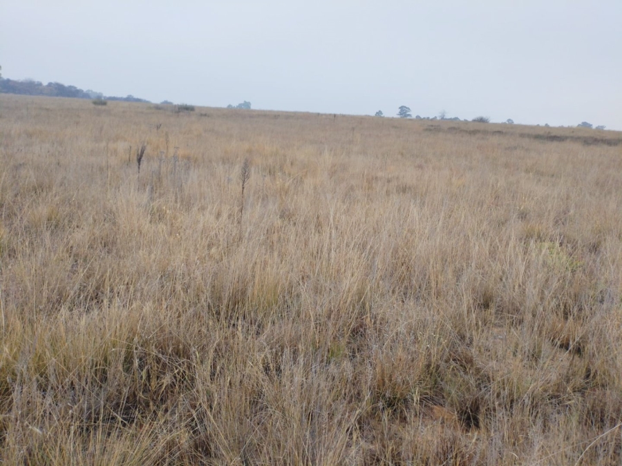  Bedroom Property for Sale in Vaalpark Free State